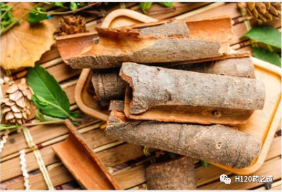 Lecture 95 on Chinese Herbal Medicine - Cinnamon