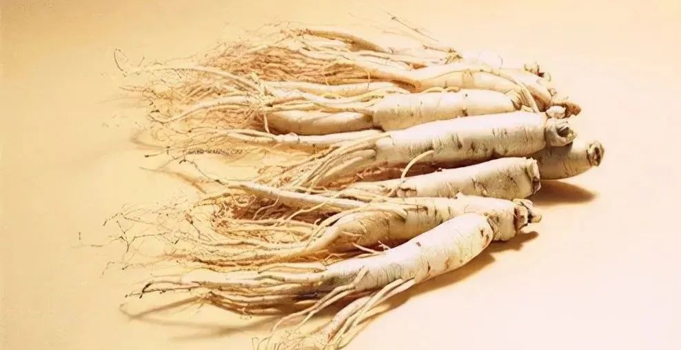 Warming Yang Formula: Four Herbs to Warm the Heart, Lungs, Spleen, Liver, and Kidneys, Sweeping Away Cold from the Five Organs