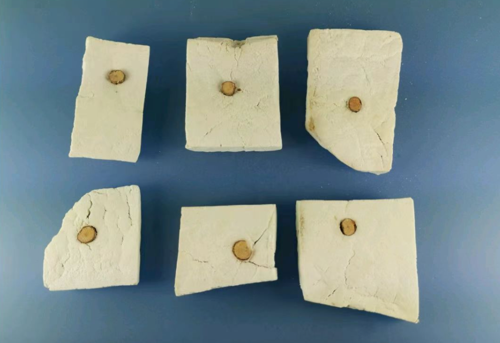 A Detailed Discussion on Chinese Medicinal Herbs: Are Fuling and Fushen Siblings?