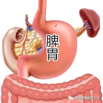 Tongue Diagnosis and the Five Organs Series Collection