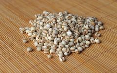 The World's Best Rice: Coix Seed (Yi Yi Ren)