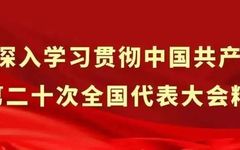 Winter Health Preservation: TCM Dietary Therapy for Nourishment