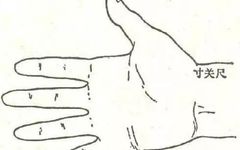 Pulse Diagnosis in Pregnancy and Basic Knowledge of Pulse Diagnosis
