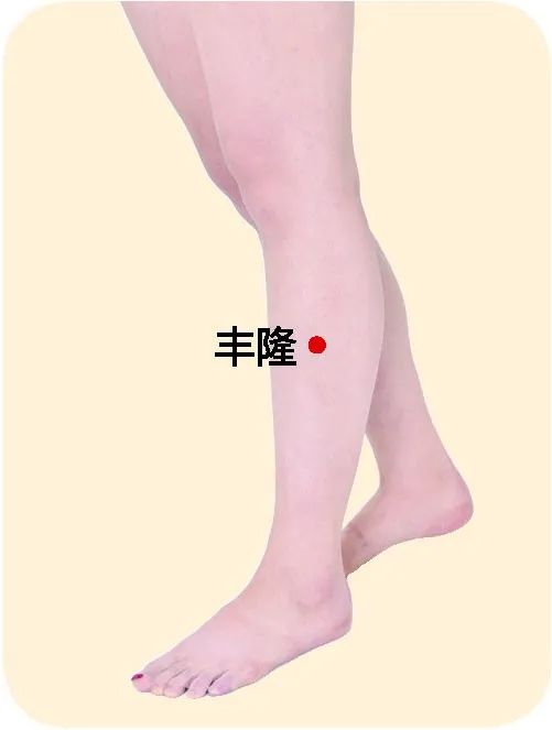 Is Phlegm-Dampness the Cause of Obesity and White Greasy Tongue? Dietary Therapy Solutions
