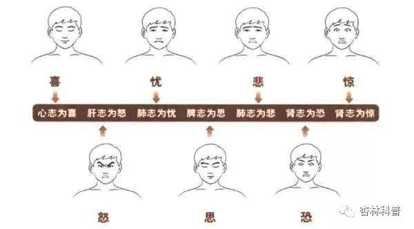 Dr. Ni Haixia Discusses the Characteristics of 'Seven Emotions' as Causes of Disease
