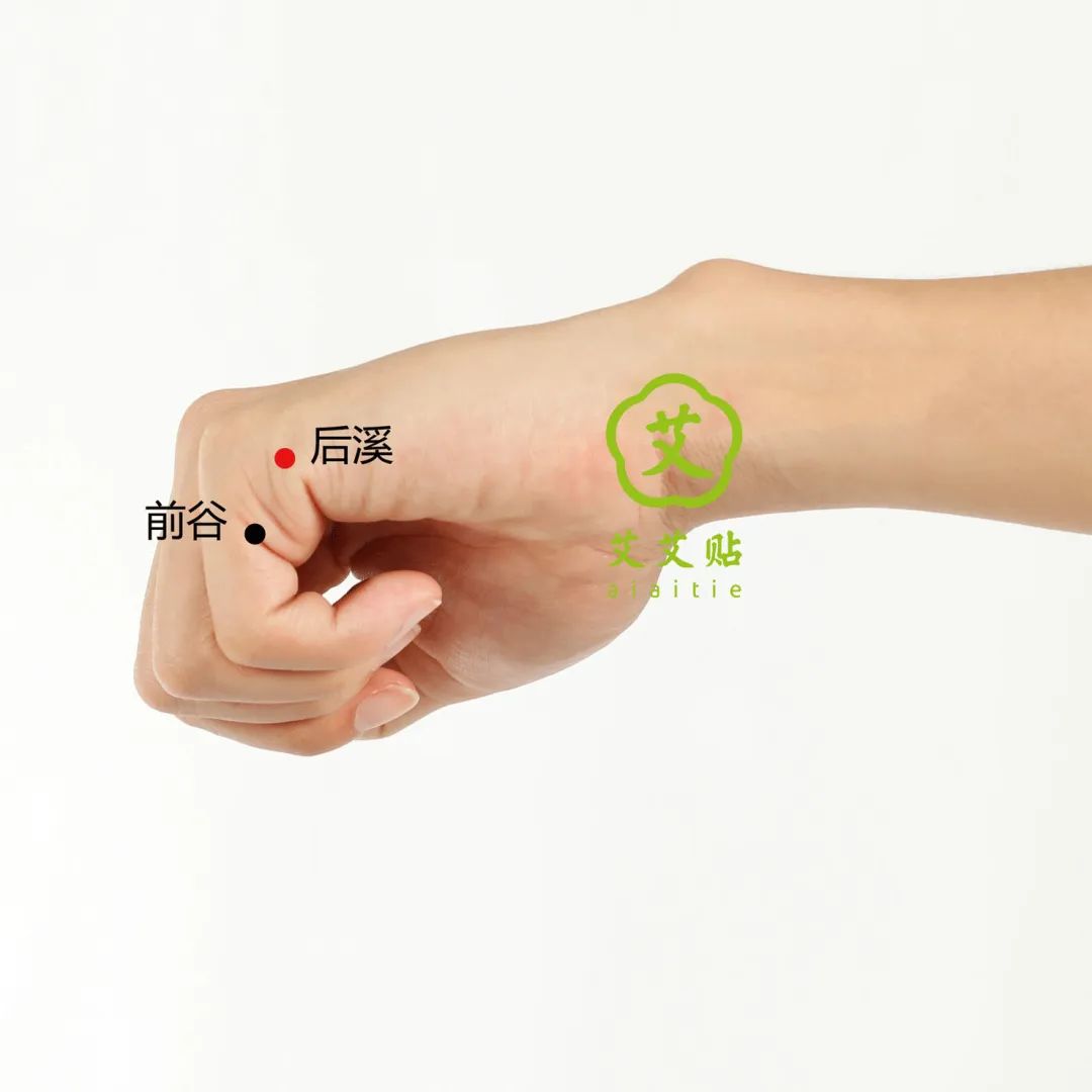 The Hand Taiyang Small Intestine Meridian: Differentiating Clarity and Turbidity, Transforming Qi and Blood