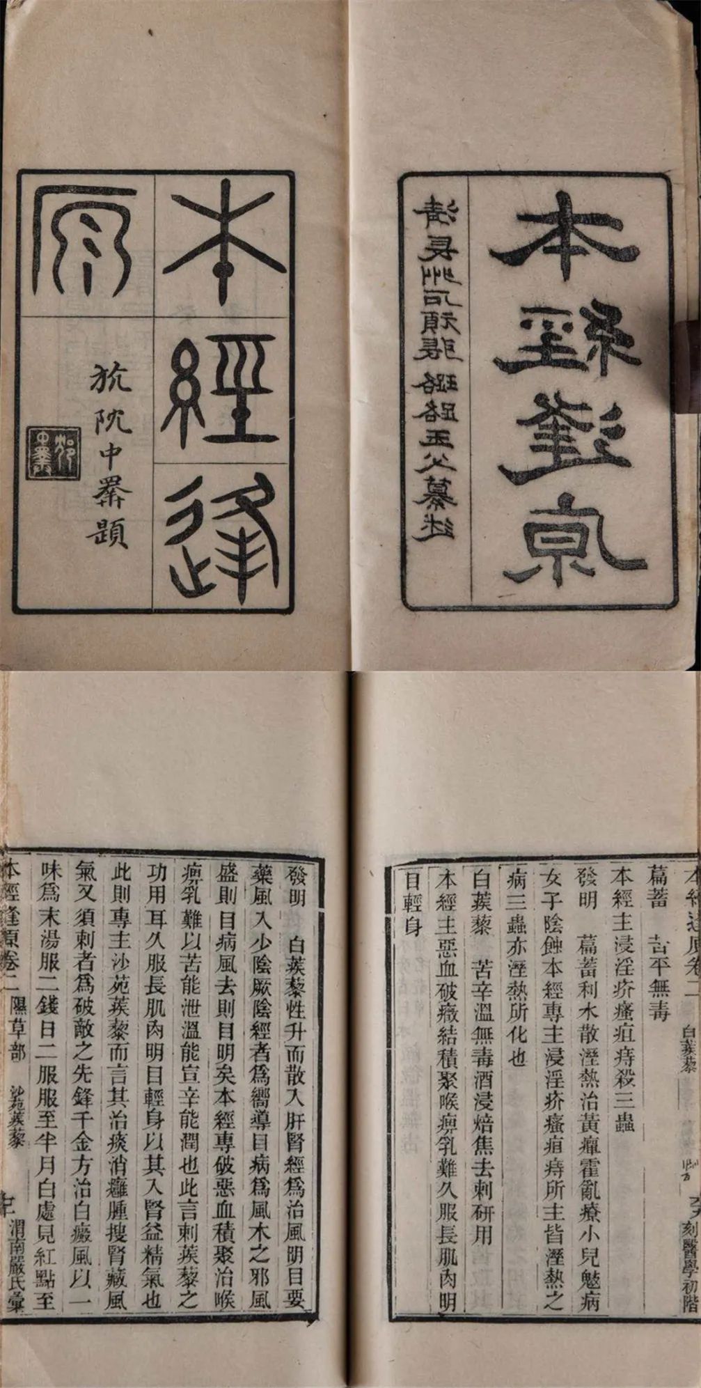 Exploring Traditional Culture | Issue 19: The Historical Transmission of Materia Medica Literature (Part 3)