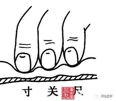 Summary of Pulse Diagnosis in Traditional Chinese Medicine