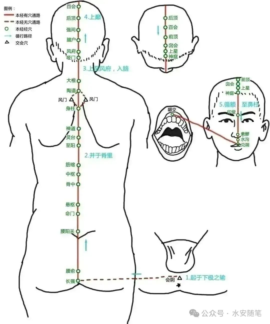 The Pathways of Meridians: A Traditional Chinese Medicine Guide