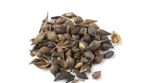 Traditional Chinese Medicine Overview | Clearing Heat and Detoxifying, Reducing Swelling and Dissolving Nodules