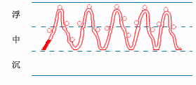 Fundamental Knowledge of Pulse Diagnosis - Hua (Yang within Yin)