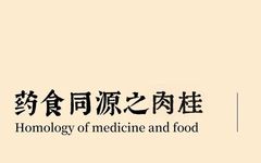 Pharmacist's Insights: The Series on 'Cinnamon'