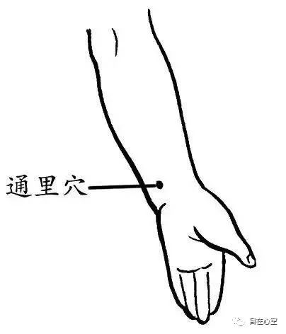 The Fifteen Collaterals in Traditional Chinese Medicine