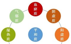 Understanding TCM Body Constitutions and Health Preservation