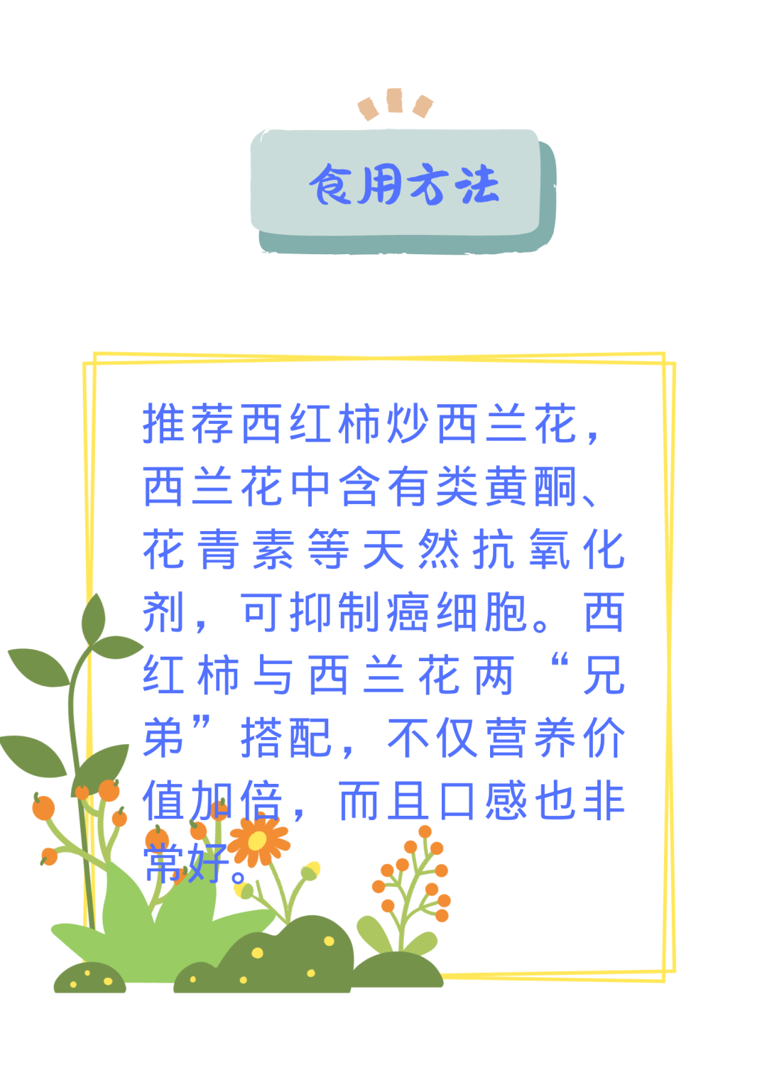 Comprehensive Guide to Dietary Therapy in Traditional Chinese Medicine! Everything You Need in One Article (Save This)