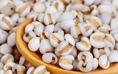Removing Dampness and Cancer Prevention with Coix Seed: Suitable for Liver Disease and Spleen Deficiency!