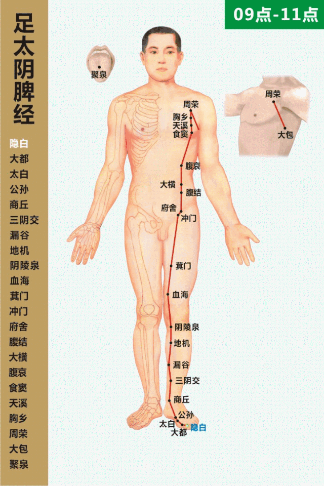 Summary of 90 Acupuncture Points and Their Therapeutic Functions with Illustrations! (Recommended for Collection)