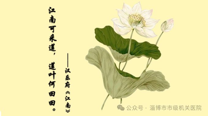 Exploring 'Bencao Gangmu' Through Poetry