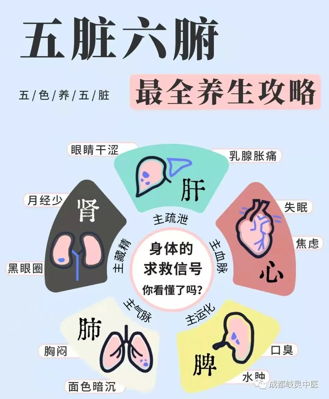Comprehensive Health Guide for the Five Organs and Six Bowels