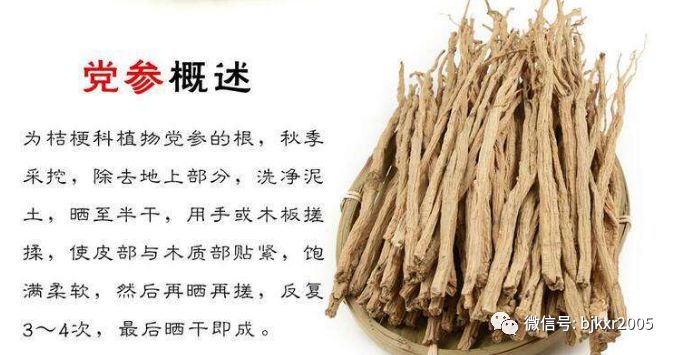 The Efficacy and Functions of Codonopsis (Dang Shen)
