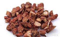 Chinese Herbal Medicine: Dan Shen