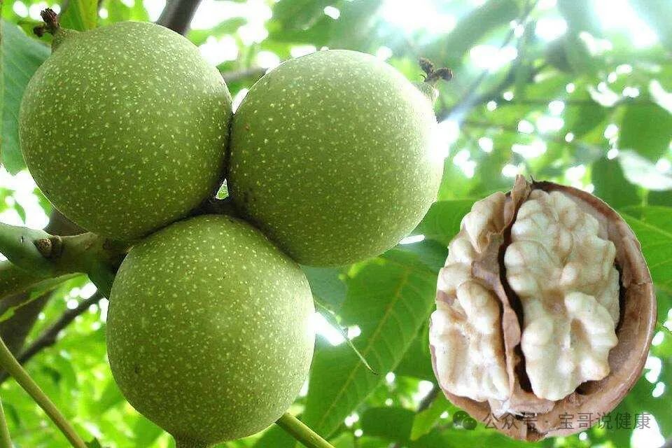 Top 10 Foods for Qi Nourishment and Health