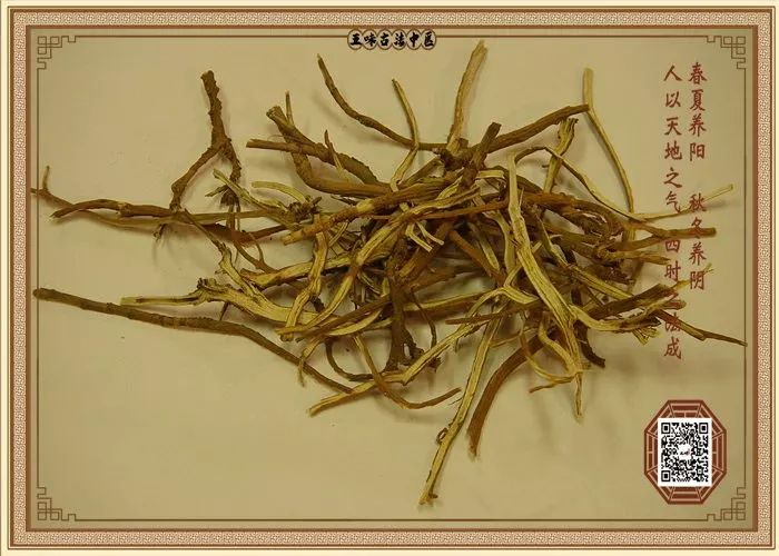 This Herb is Known as the 'King of Qi-Boosting'