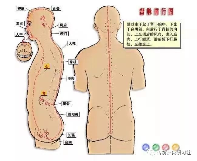 Diagram of the Eight Extraordinary Meridians in Traditional Chinese Medicine