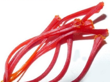 Understanding the Differences Between Saffron (Crocus sativus) and Carthamus (Carthamus tinctorius)