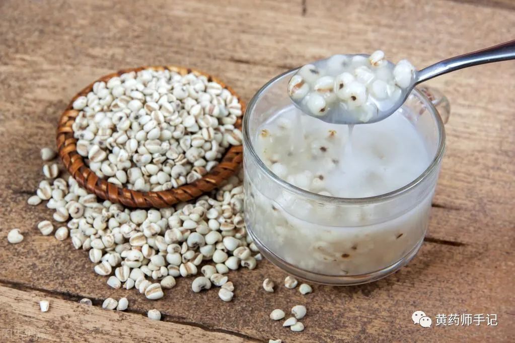 Coix Seed (Yi Yi Ren): Commonly Used for Spleen Deficiency, Dampness, Edema, Diarrhea, Prostatitis, and Colitis
