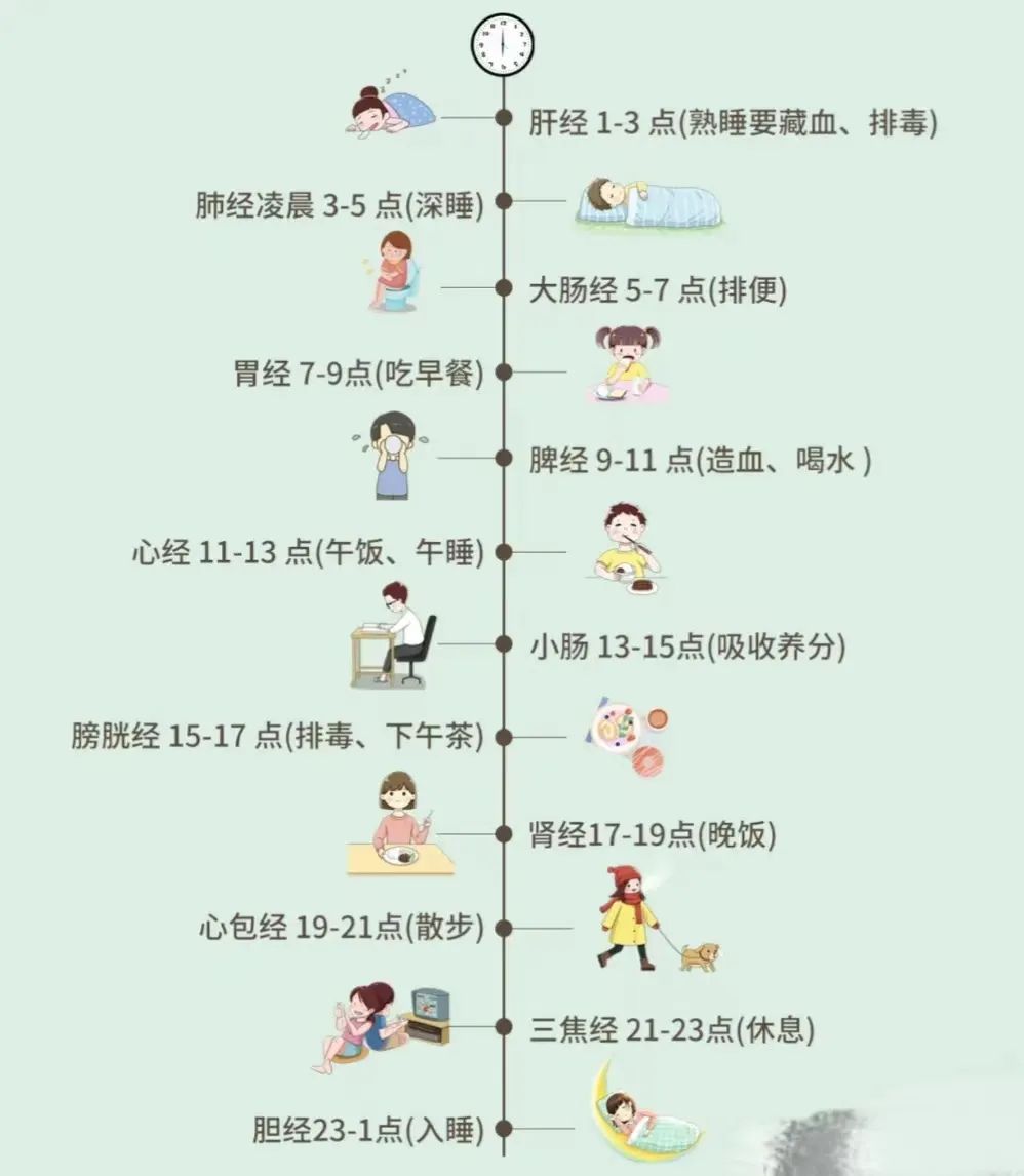 The Nine Major Types of Constitution Identification in Traditional Chinese Medicine