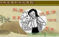 Understanding the Five Types of Colds in Traditional Chinese Medicine