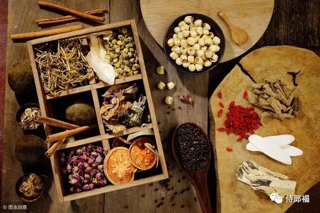 Understanding the Methods of Dampness Elimination in Traditional Chinese Medicine: Drying, Draining, Transforming, Promoting, and Overcoming Dampness