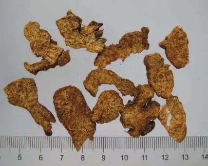 Daily Herb 182: Atractylodes - The Sacred Herb for Drying Dampness and Strengthening the Spleen