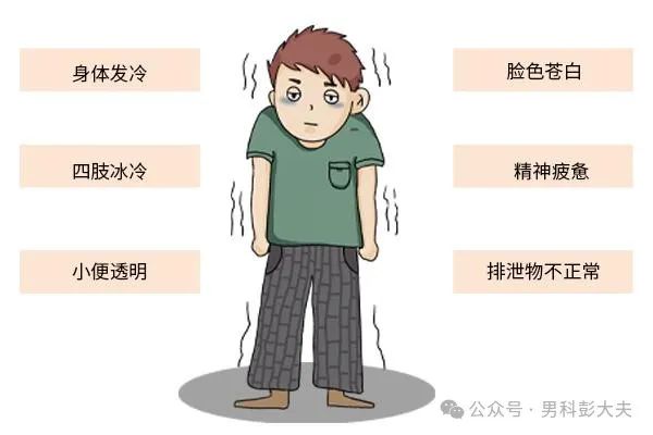What Are the Differences Between Bu Yang, Tong Yang, and Wen Yang? Which Groups Are Suitable for Each?