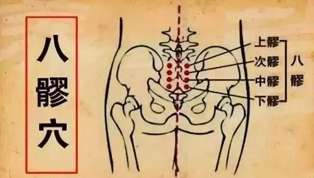 Common Acupuncture Points and Their Effects! (Illustrated Version)