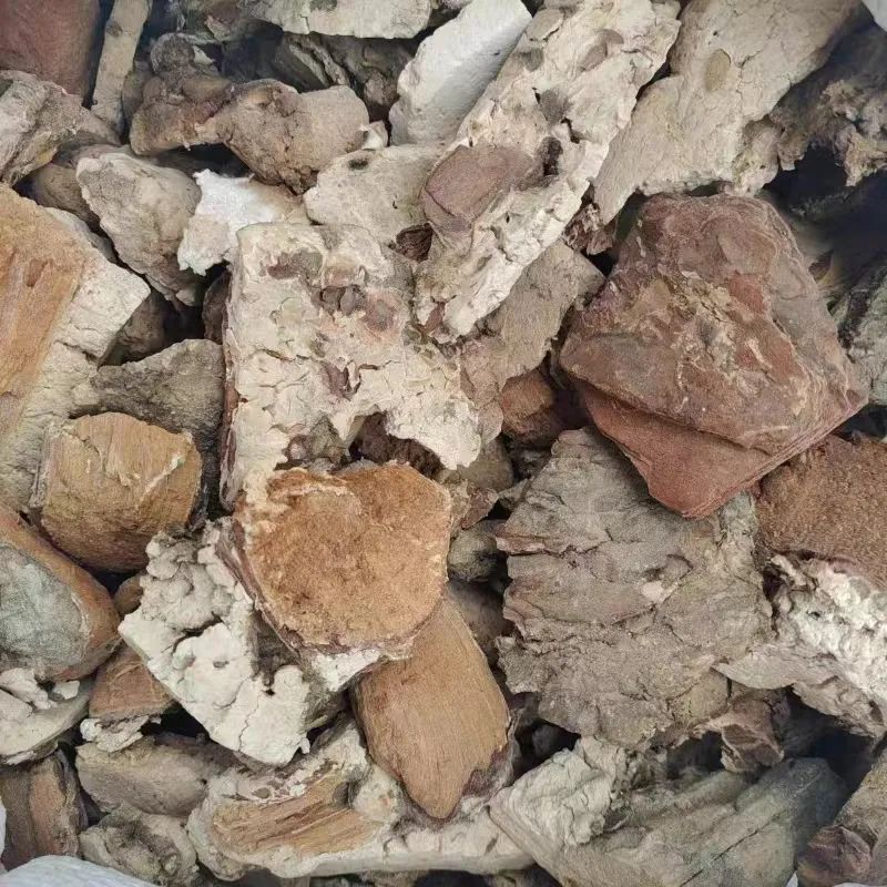 A Detailed Discussion on Chinese Medicinal Herbs: Are Fuling and Fushen Siblings?