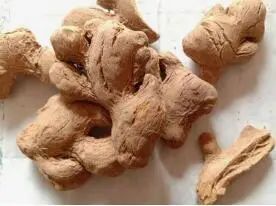 Understanding the Differences Among Various Types of Ginger in Traditional Chinese Medicine