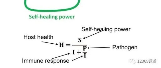 The Birth of the First Formula Revealing the Mechanism of TCM Treatment for Exogenous Diseases: TCM is Actually a Science!