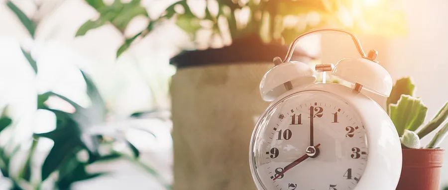 Spring Equinox Health Preservation: Harmonizing Yin and Yang to Embrace Vitality