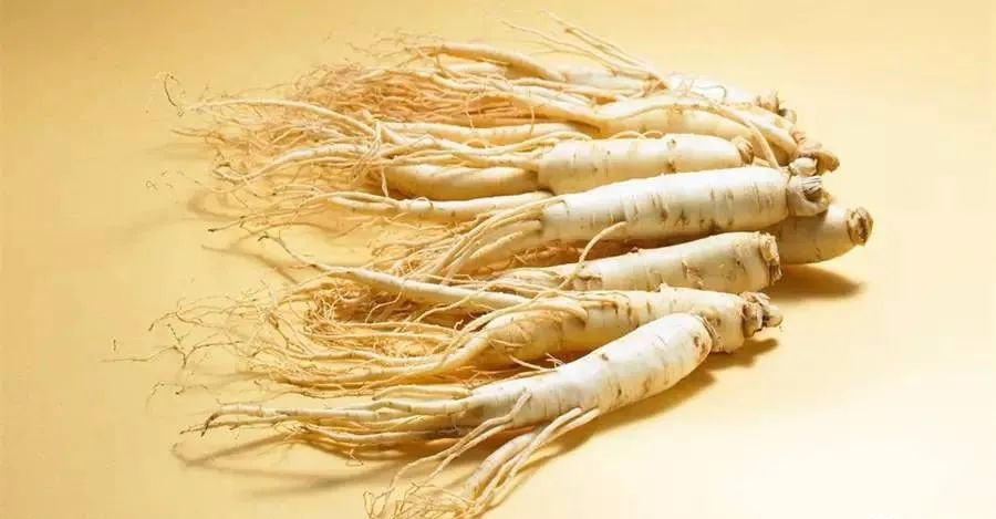 The Sacred Herb for Qi Supplementation