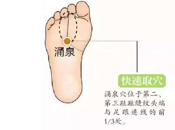 The Fastest Method to Boost Immunity: A Single Chinese Herb to Tonify Lung Qi, Spleen Qi, and Kidney Qi!