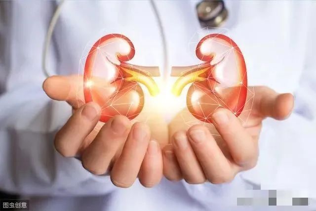 Understanding Kidney Yang Deficiency: Differentiation and Treatment in Traditional Chinese Medicine