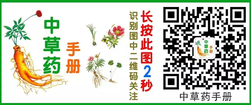 The Efficacy and Functions of Yi Yi Ren (Coix Seed): Promoting Diuresis, Resolving Dampness, Strengthening the Spleen, and Stopping Diarrhea