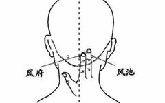 Common Acupuncture Points in Traditional Chinese Medicine for Reference