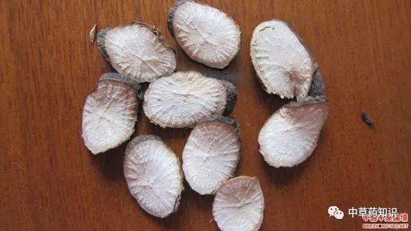 Traditional Chinese Medicine Herb: Bai Shao (White Peony)