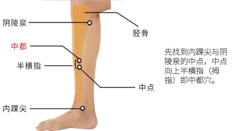Blood Deficiency: Discover the Causes of Blood Deficiency and Four Acupuncture Points That Are More Effective Than Blood Tonics