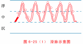 Illustrated Guide to 28 Dynamic Pulse Diagnoses in Traditional Chinese Medicine