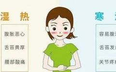 Top 10 Effective Chinese Patent Medicines for Eliminating Damp-Heat
