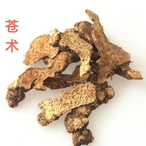 Atractylodes: A Powerful Herb for Dampness, Spleen Health, and Wind-Damp Relief